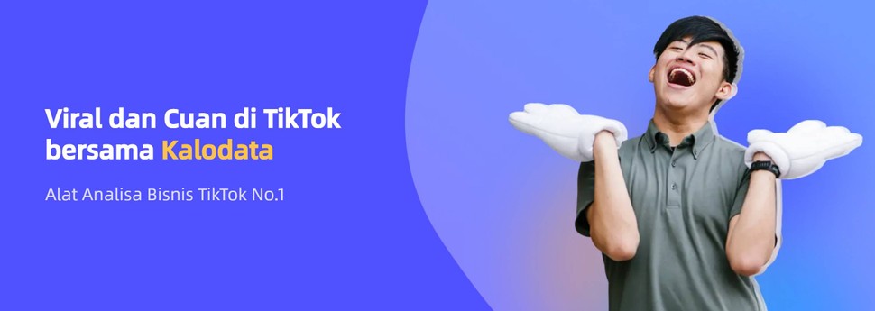 Data analysis: Unlocking fascinating insights on TikTok